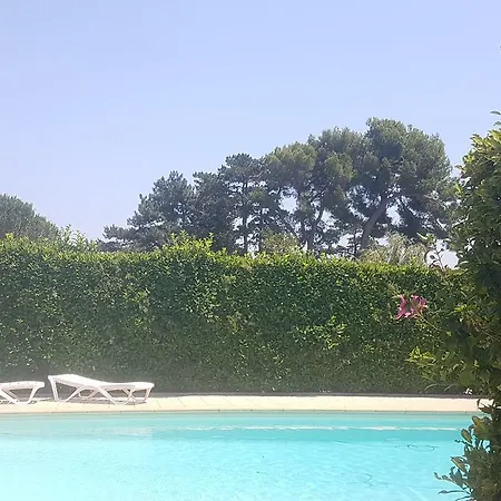 De L'olivier Pont-Saint-Esprit