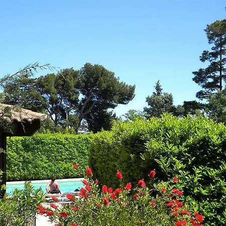 Restaurant De L'olivier Pont-Saint-Esprit